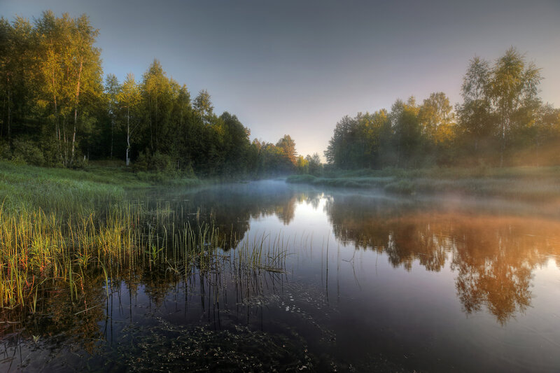 пейзажи Нижегородской области, природа Нижегородской области, река Керженец, рассвет, утро, туман, Нижегородская область Полусонная река фото превью