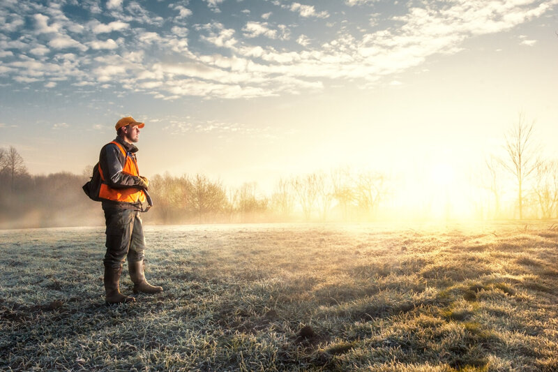 sunrise, frost, serbia, marko, radovaniovic, hunting, p, pheasant, hunter, gun, weapon, sport, activity, early, field, person, male, young Warming up фото превью