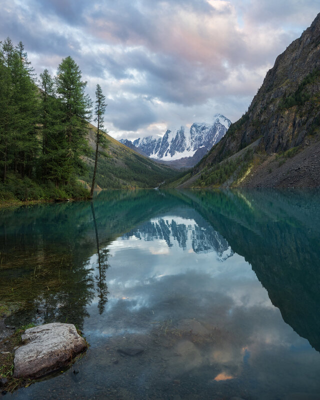 Классика Шавлы фото превью