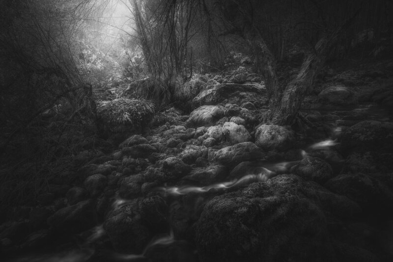 Demoniality фото превью