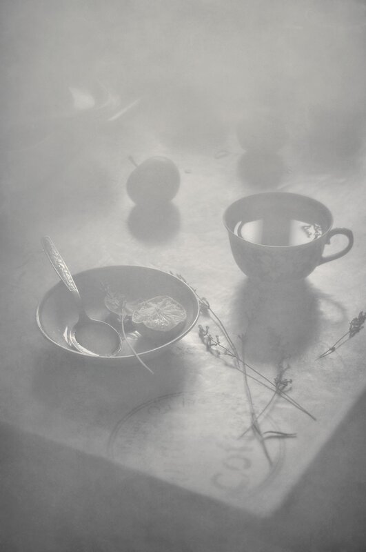 натюрморт, монохром, чашка, настроение, яблоки, still life, summer morning, cup of tea, foggy mood, perception, утро, лето, ощущения Туманного утра застывший мотив фото превью