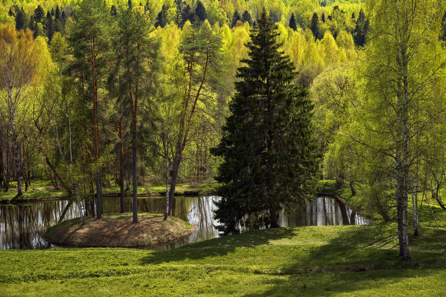 щелыково, костромская область, весна, зелень, Олег Зверев