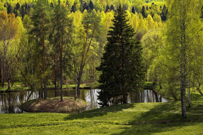 щелыково, костромская область, весна, зелень Весна в Щелыково фото превью