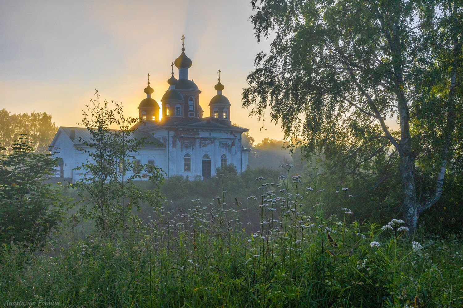 утро, карелия, храм, церковь, лето, июль, туман, цветы, рассвет, Anastasia Fomina