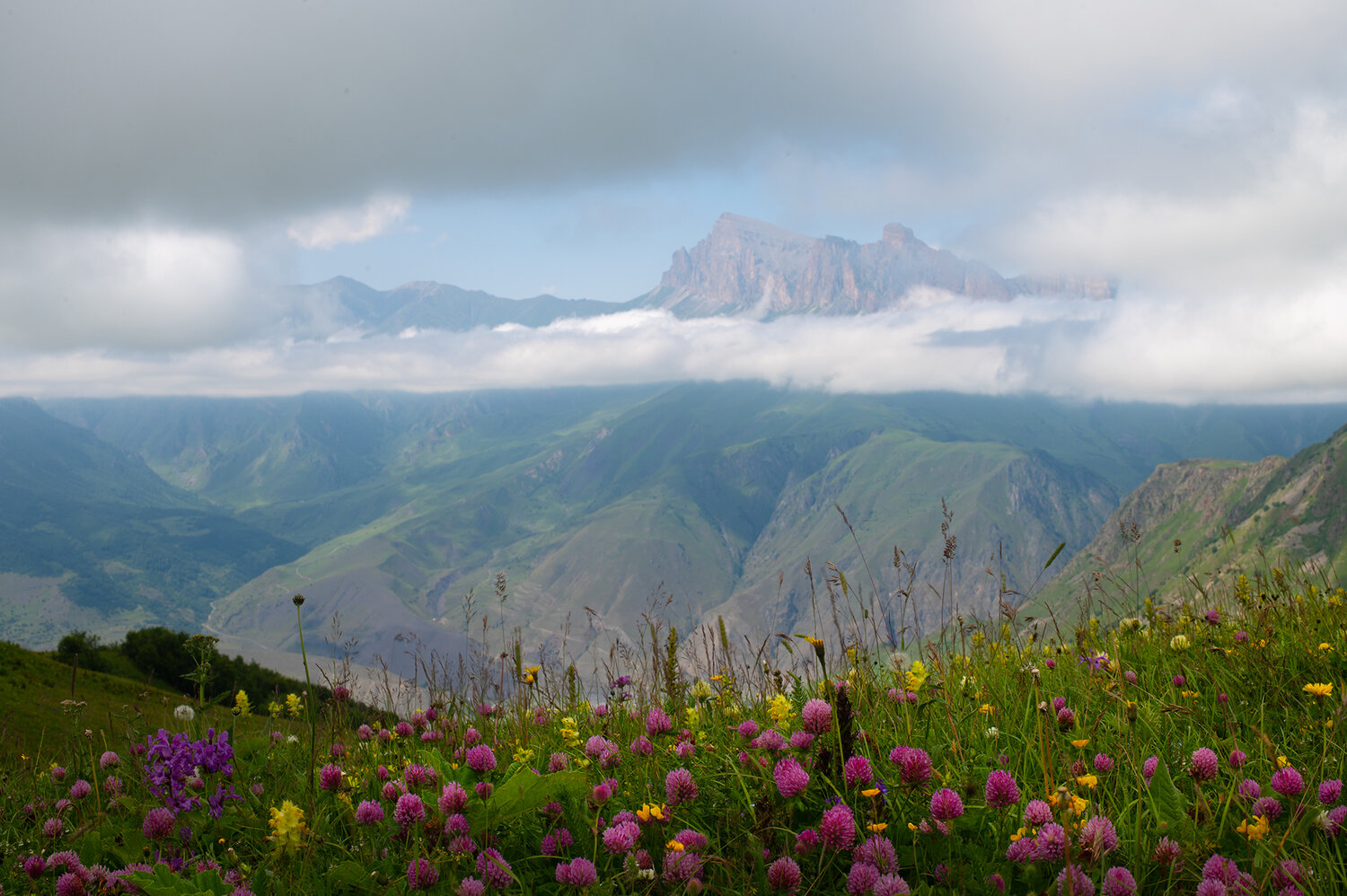 курноят, кабардино-балкария, Хасан Журтов