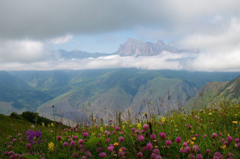 курноят, кабардино-балкария Курноят фото превью