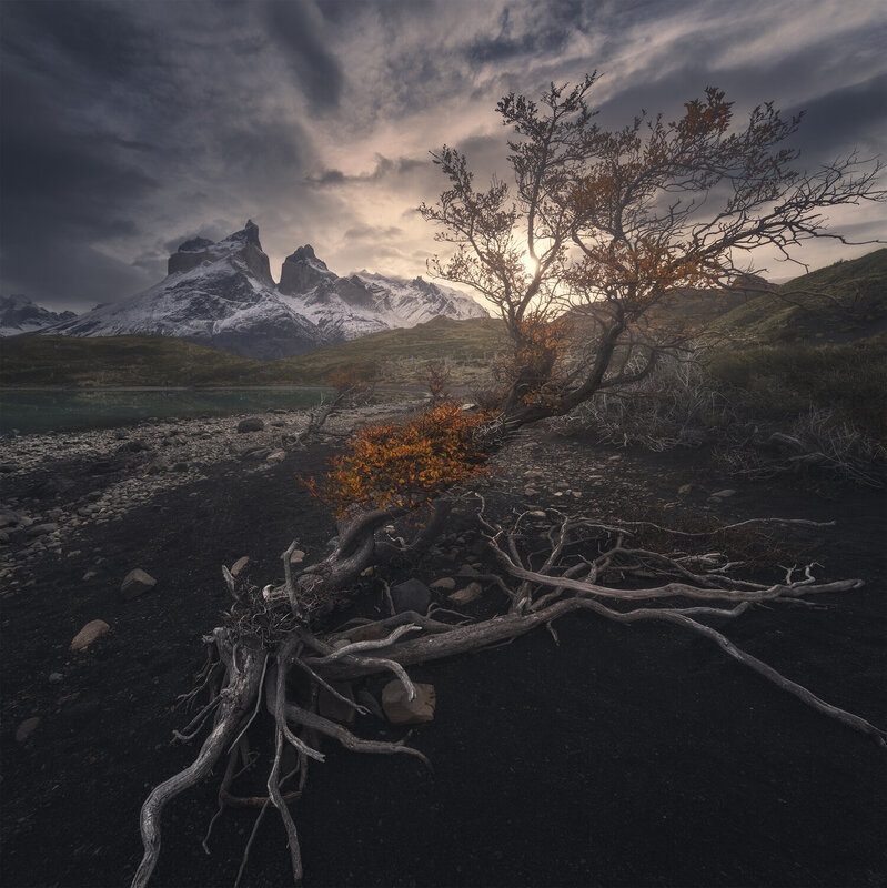 Torres del Paine, Chile фото превью