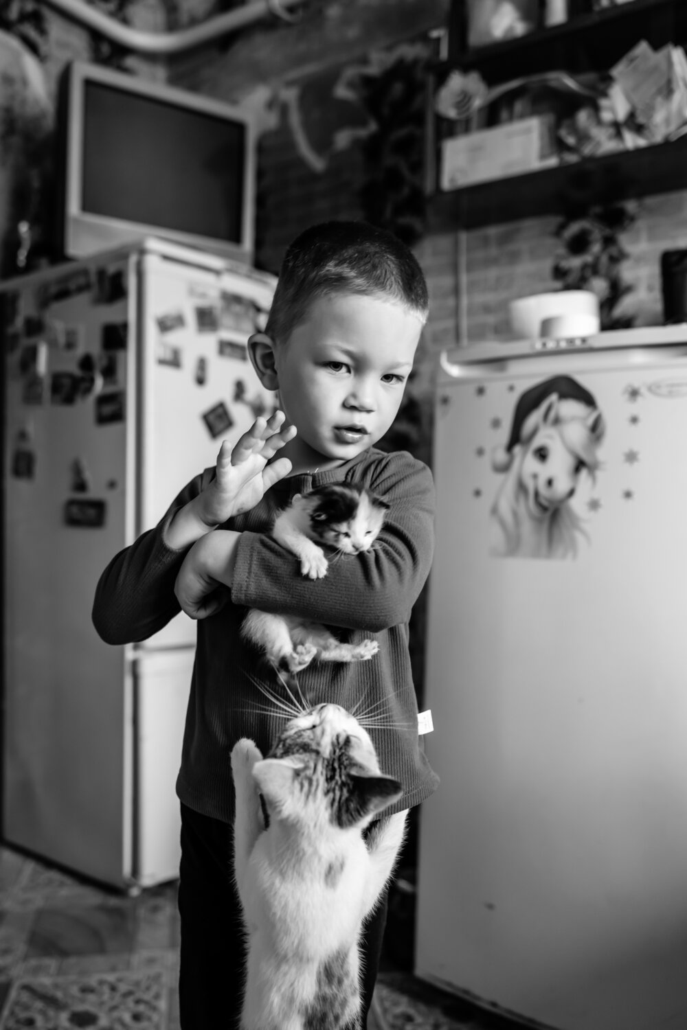 , Alexander Shilov