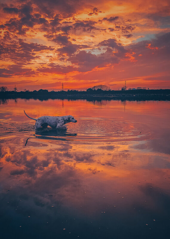 фото превью