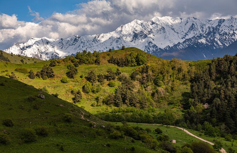 Горы, Ингушетия, весна Горный пейзаж фото превью