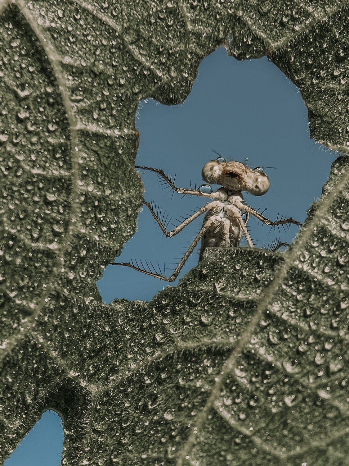 , Андрей Васильев