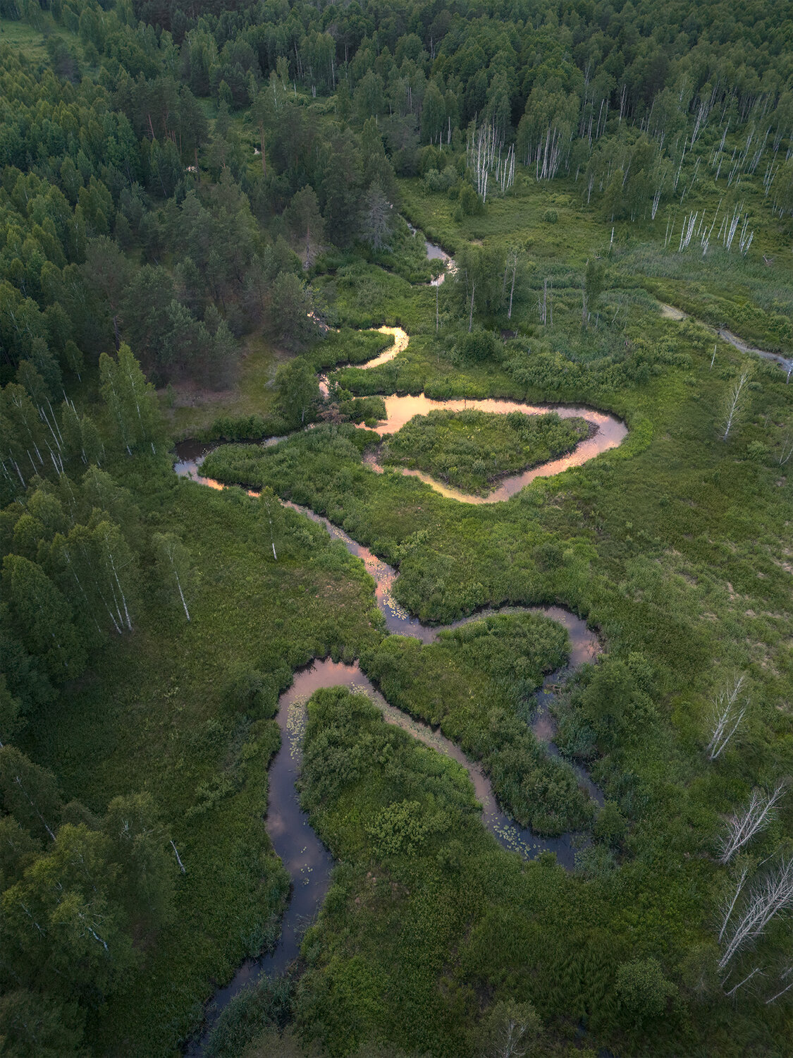 , Павел Жирнов