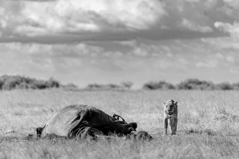 Scale doesn\\\'t matter фото превью