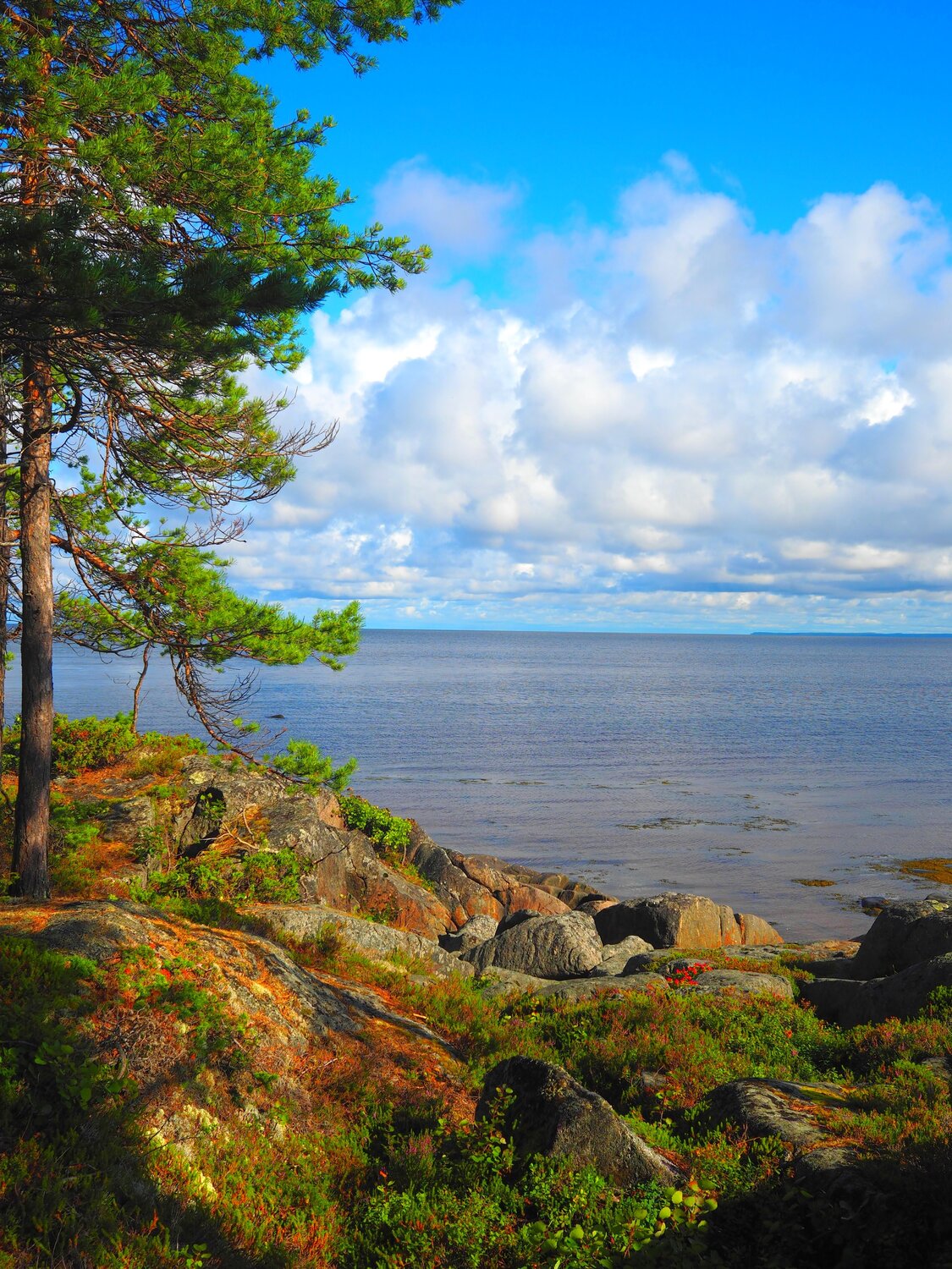 белое, море, ANDREY PERESHEIN
