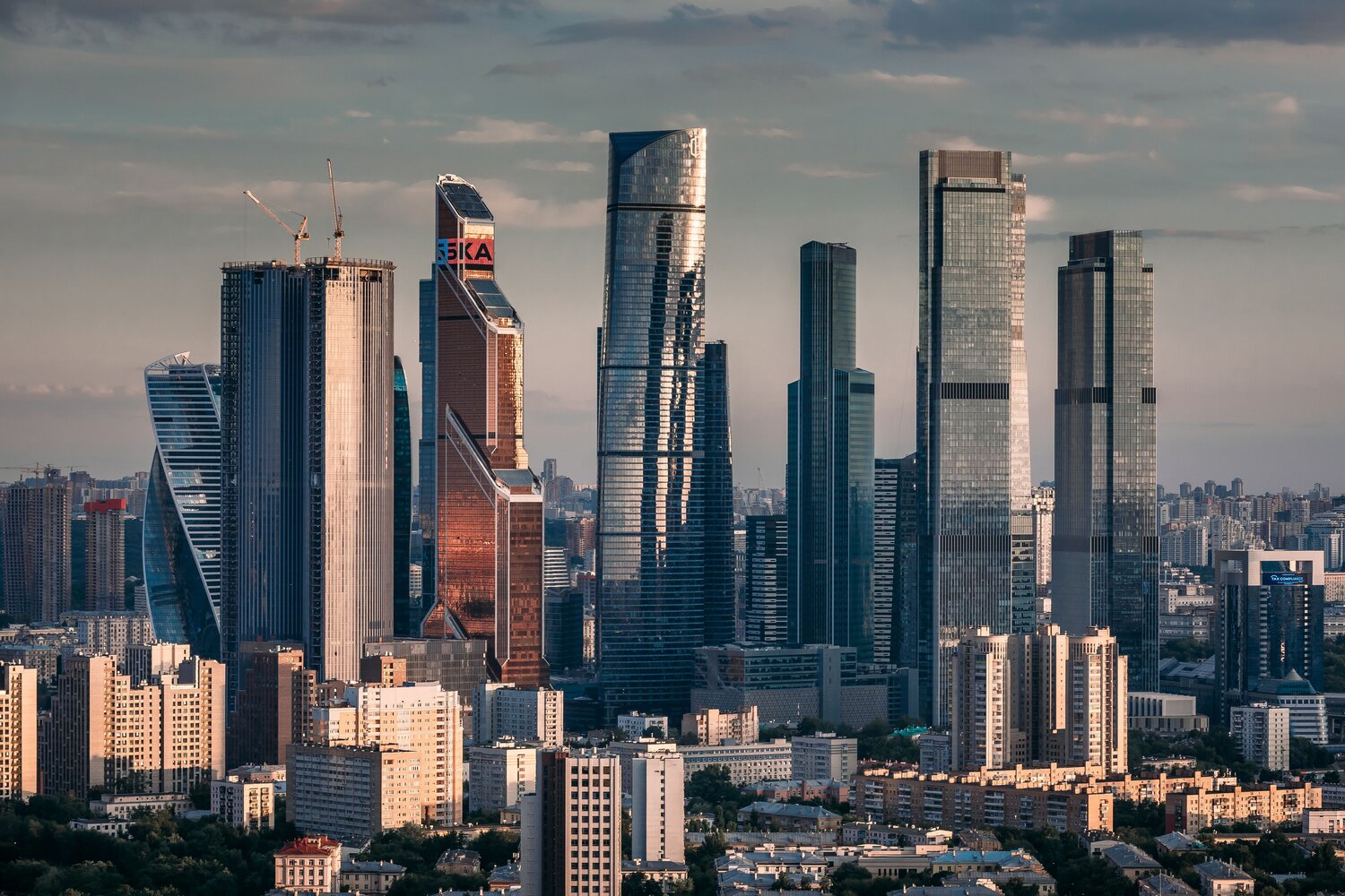 , Трепольский Дмитрий