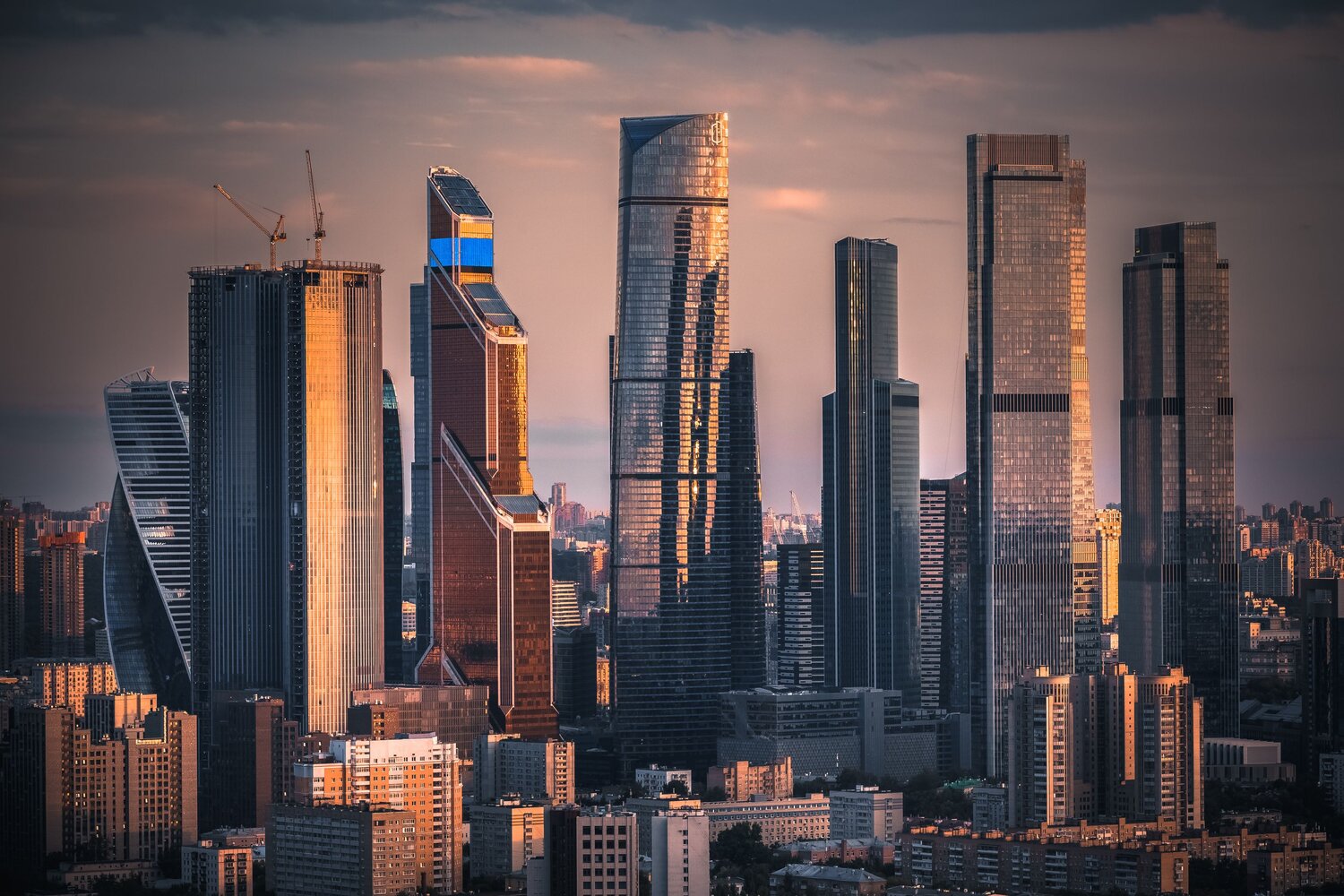 , Трепольский Дмитрий