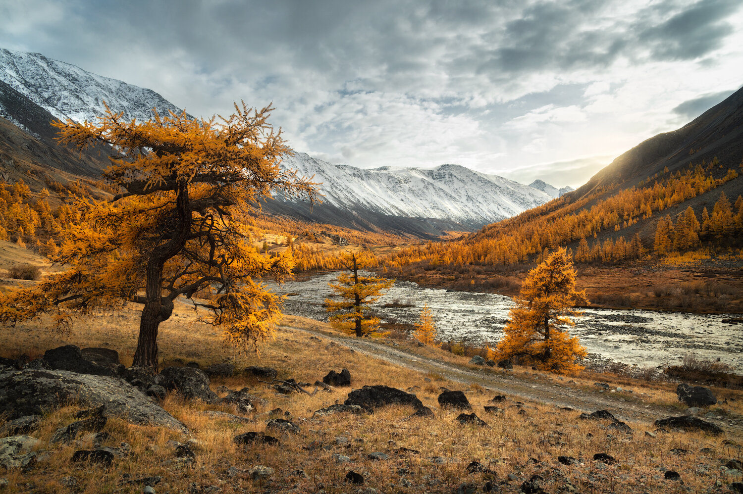 алтай, горный алтай, республика алтай, ледники алтая, кош-агачский район, золотая осень, осенний алтай, лиственницы, сентябрь, горы, горы алтая, altai mountains, Алёна Рубан