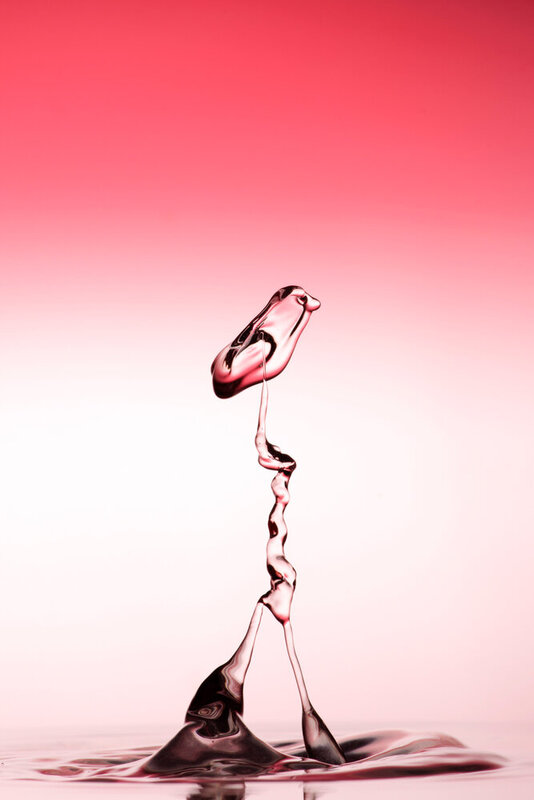 dropswater drop droplet waterdrops w, waterdropphotogrqphy damla damlafotoğ  фото превью