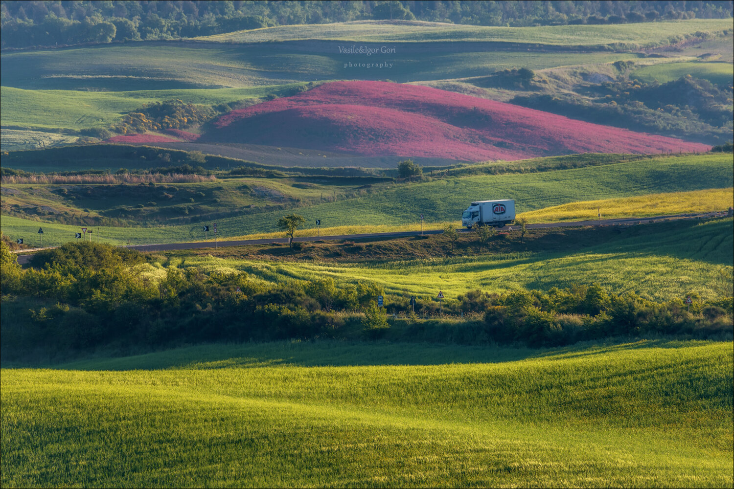italy, san quirico dorcia, весна, green, италия, кипарис, тоскана, belvedere, утро, pienza, свет, tuscany, cipressi, rural, пейзажи тосканы, Гори Василий