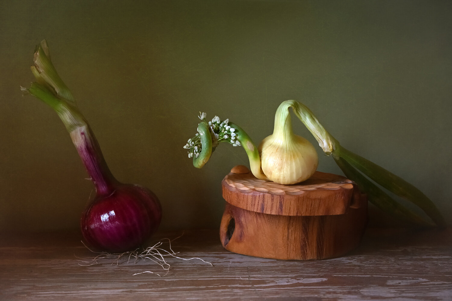 , Марина Никифорова