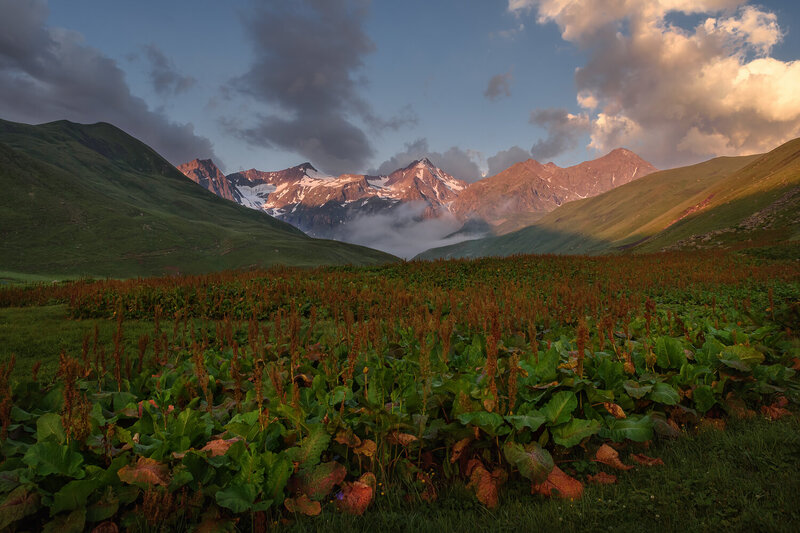 кавказ, кабардино-балкария, кбр, рассвет в горах, горы на рассвете, горы Расступились облака фото превью