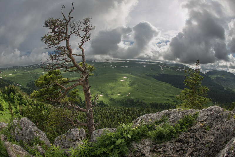 плато Лаго-Наки фото превью