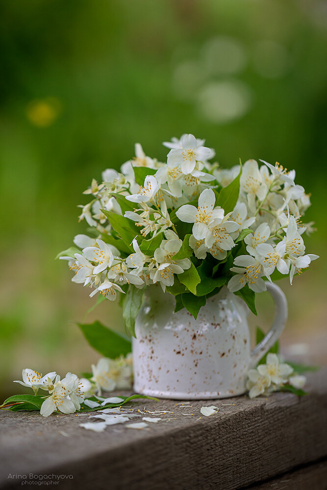 , Arina Bogachyova