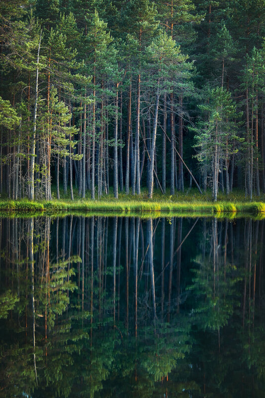 ..... фото превью