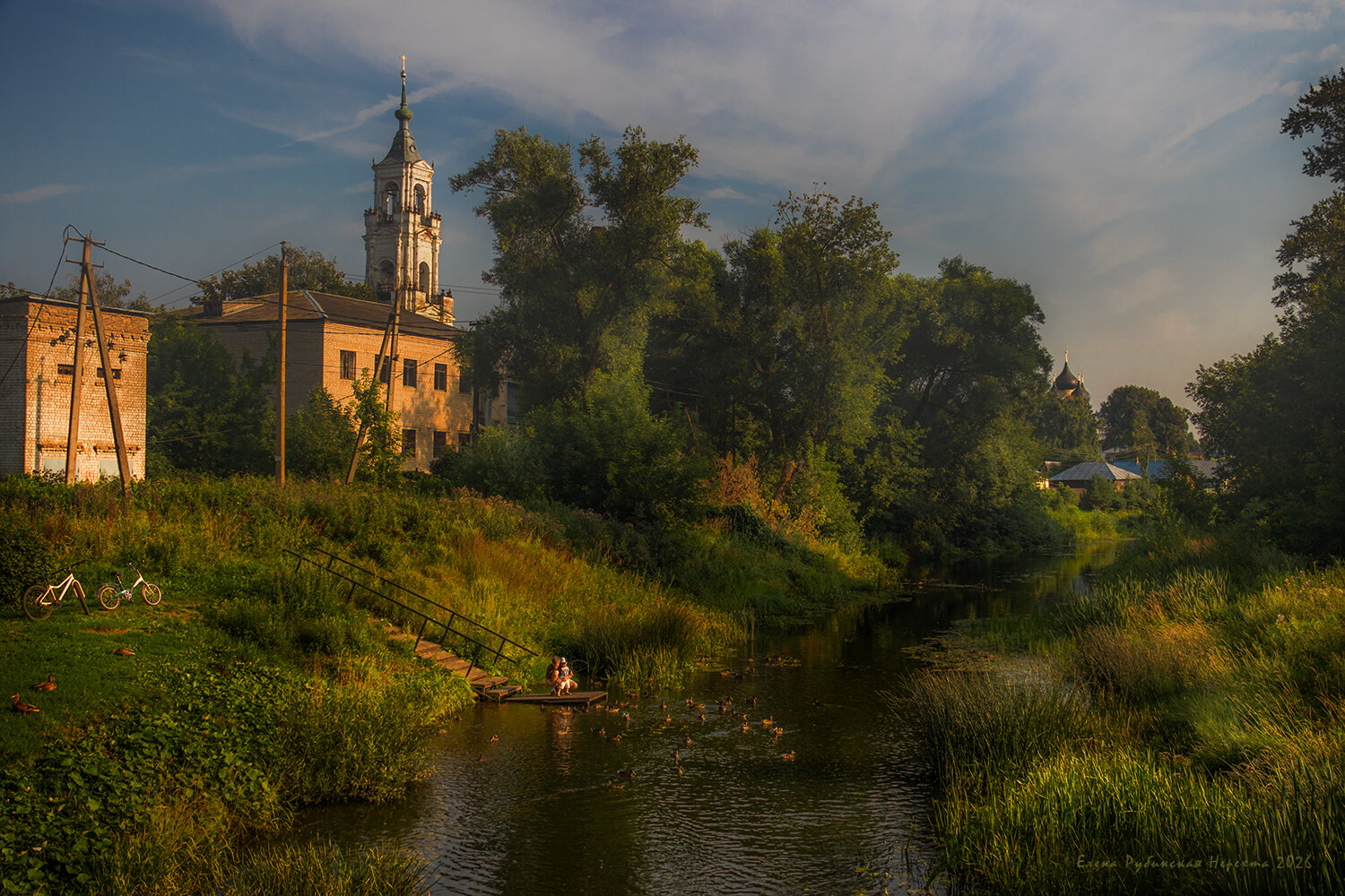 нерехта, город, Елена Рубинская