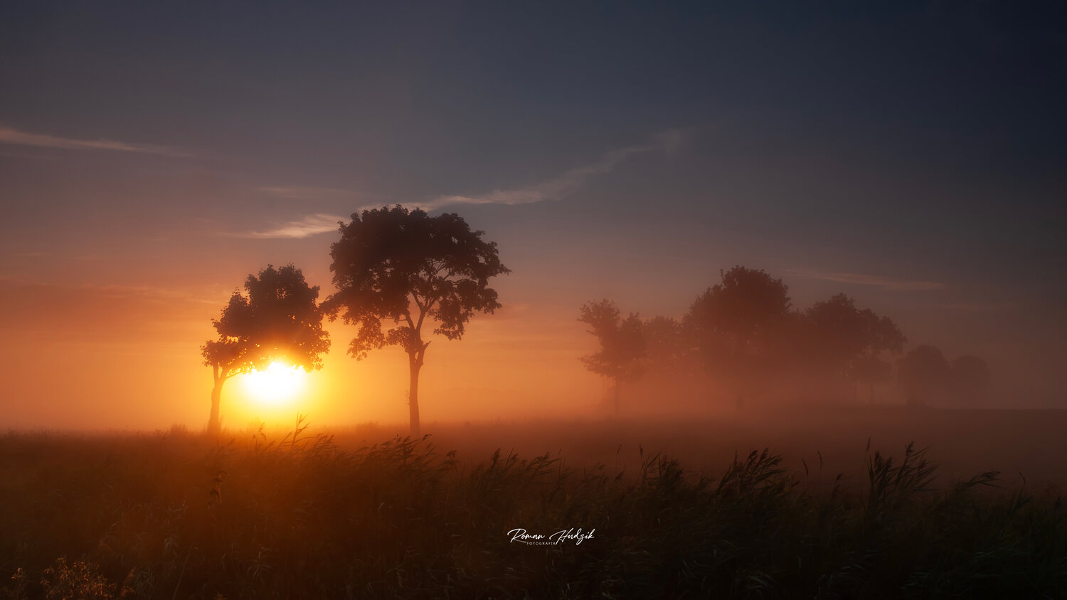 Misty morning. Автор: Hudzik Roman Morning, Sunrise, Tree, Sun, Grass, Nikon, Hudzik Roman