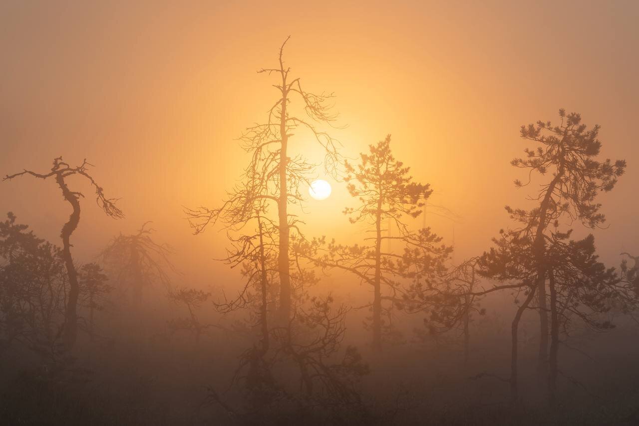 , Ivan Glinskiy