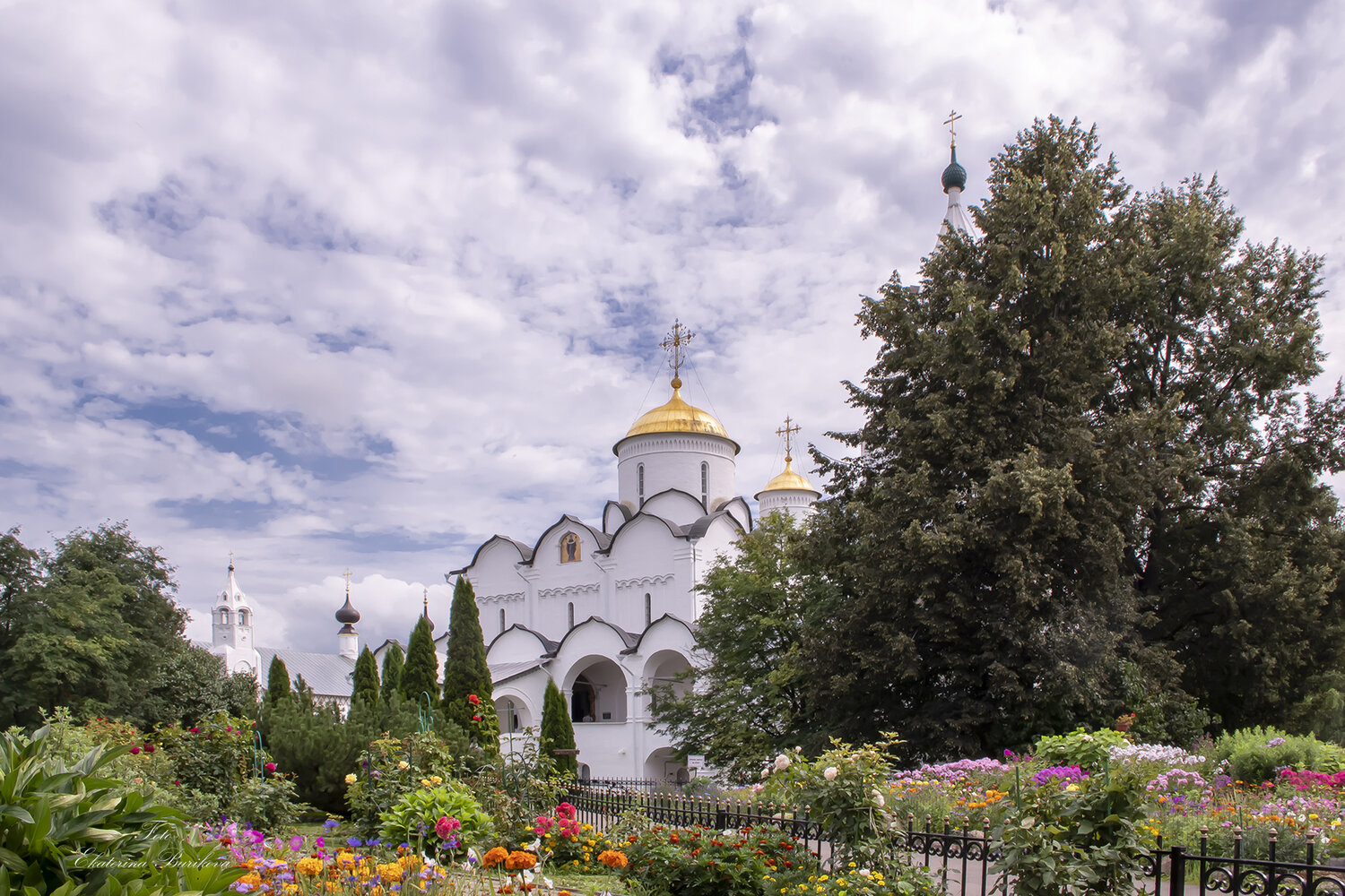 , Бурикова Екатерина