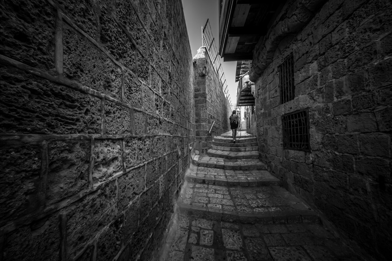, David Solodar