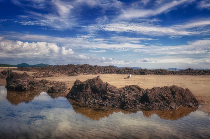 Scenery, coastline, sea, seagulls, heat Coast of the heatwave фото превью