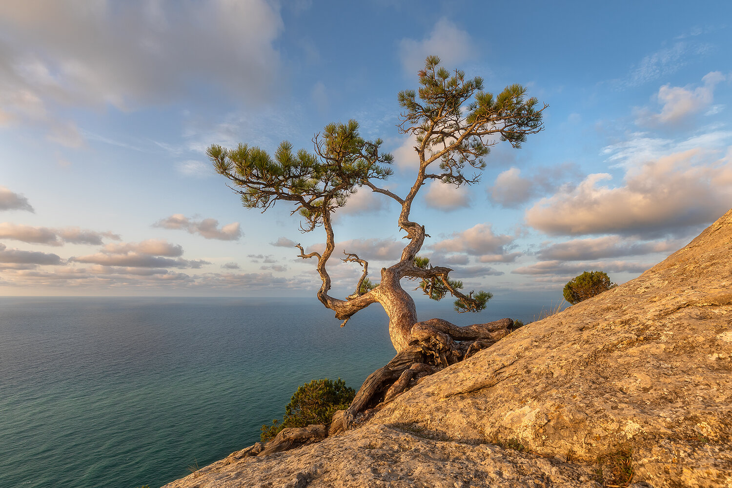 крым, республика крым, природа, пейзаж, россия, чёрное море, море, утро, рассвет, туризм, фотография, пейзажная фотография, сосна, пик космос, капчук, новый свет, можжевеловая роща, минимализм, Alexander Pashenichev