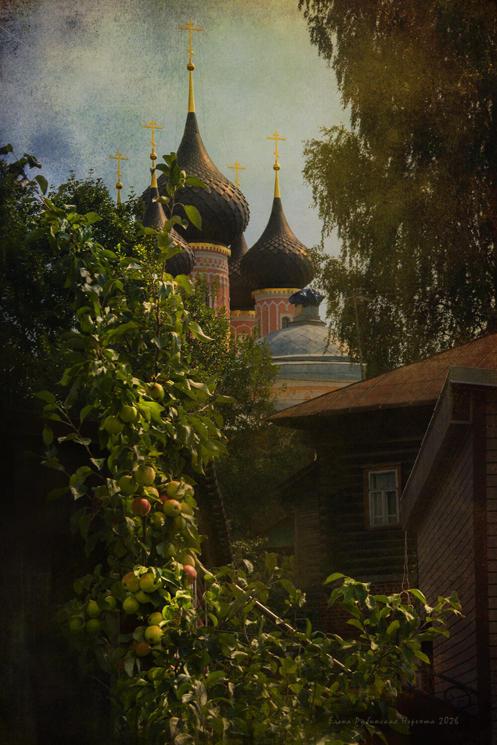нерехта, Елена Рубинская