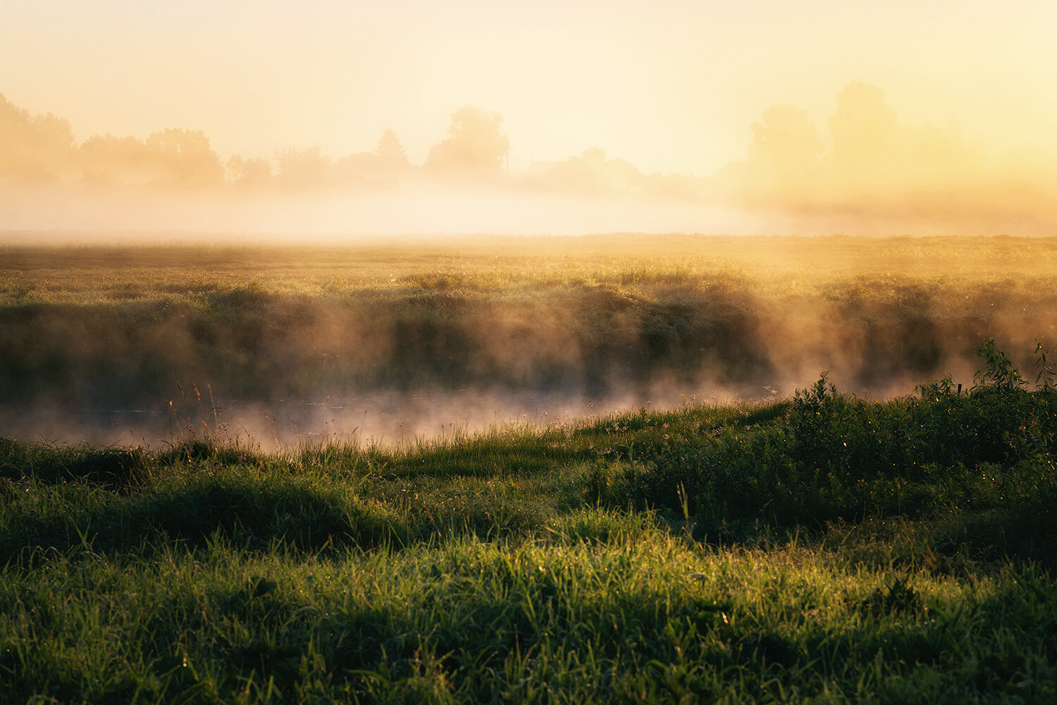 пейзаж, природа, туман, утро, nature, landscape, fog, morning, sunrise, рассвет, Волкова Анна