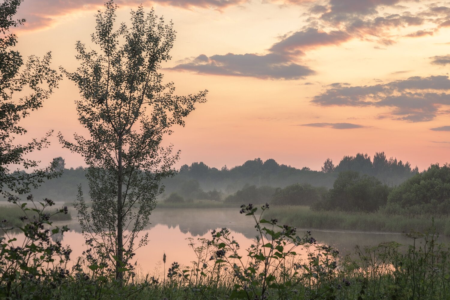 Тверская, область, Елена Гусева