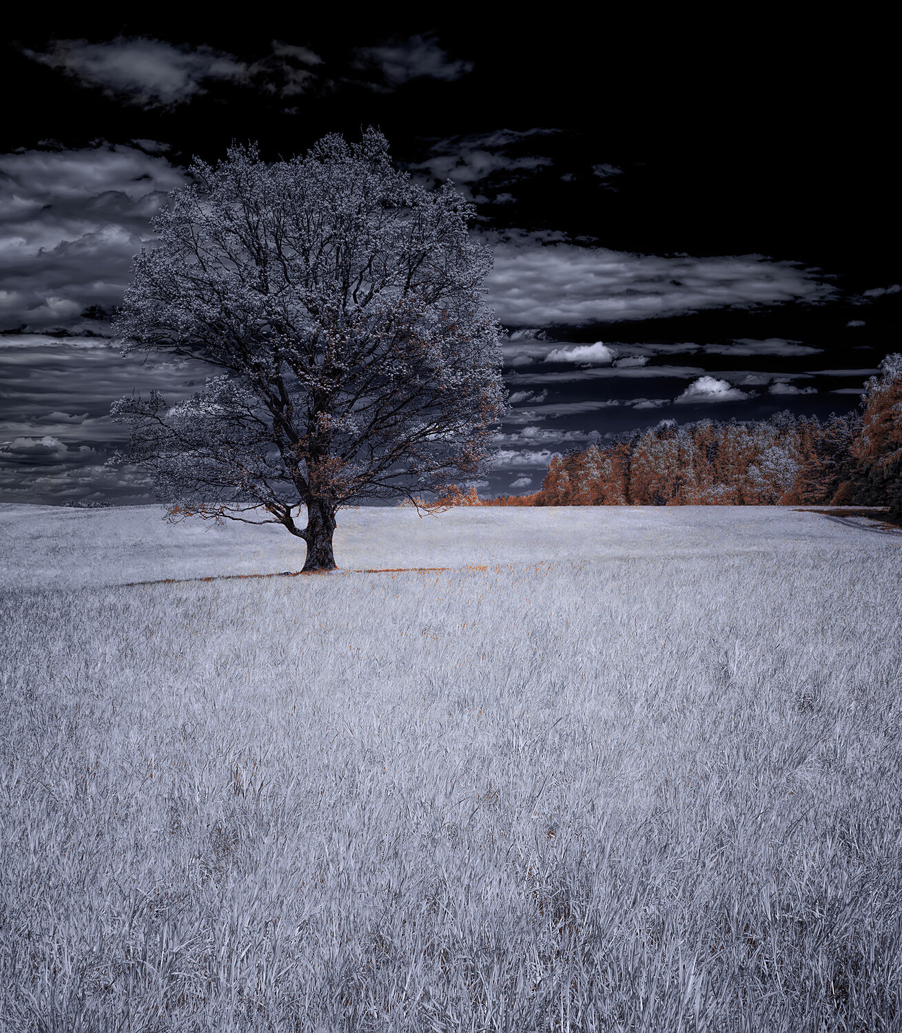 infrared, инфракрасная фография, инфракрасное фото, пейзаж, весна, ик-фото,  Sixten (Сергей)