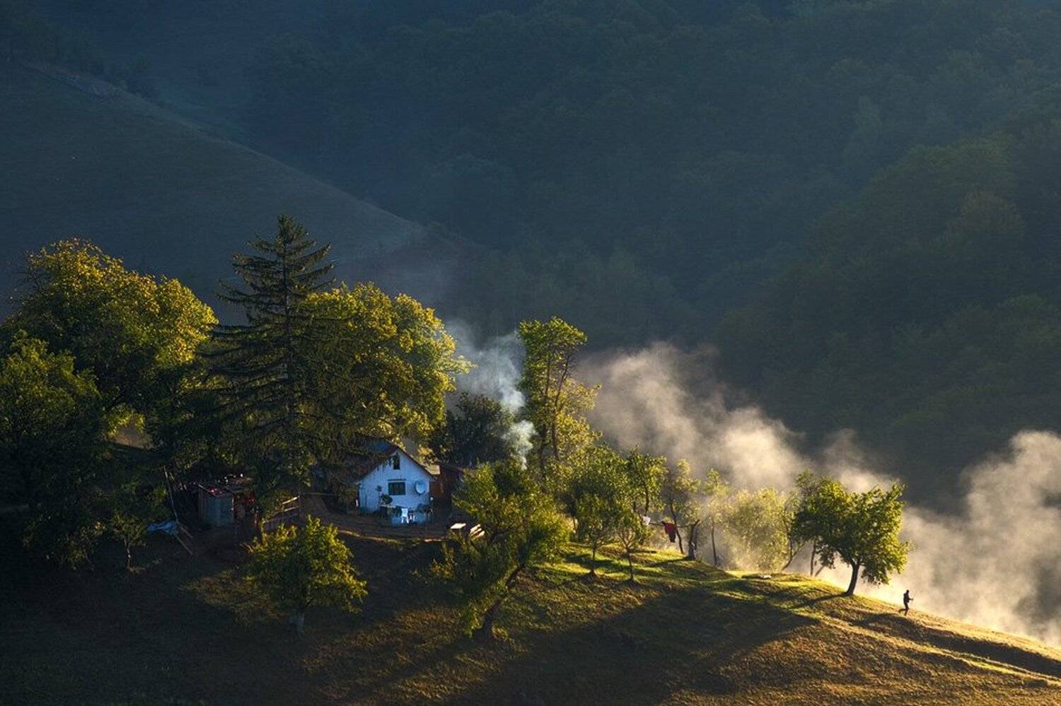 , Stefan Chirobocea