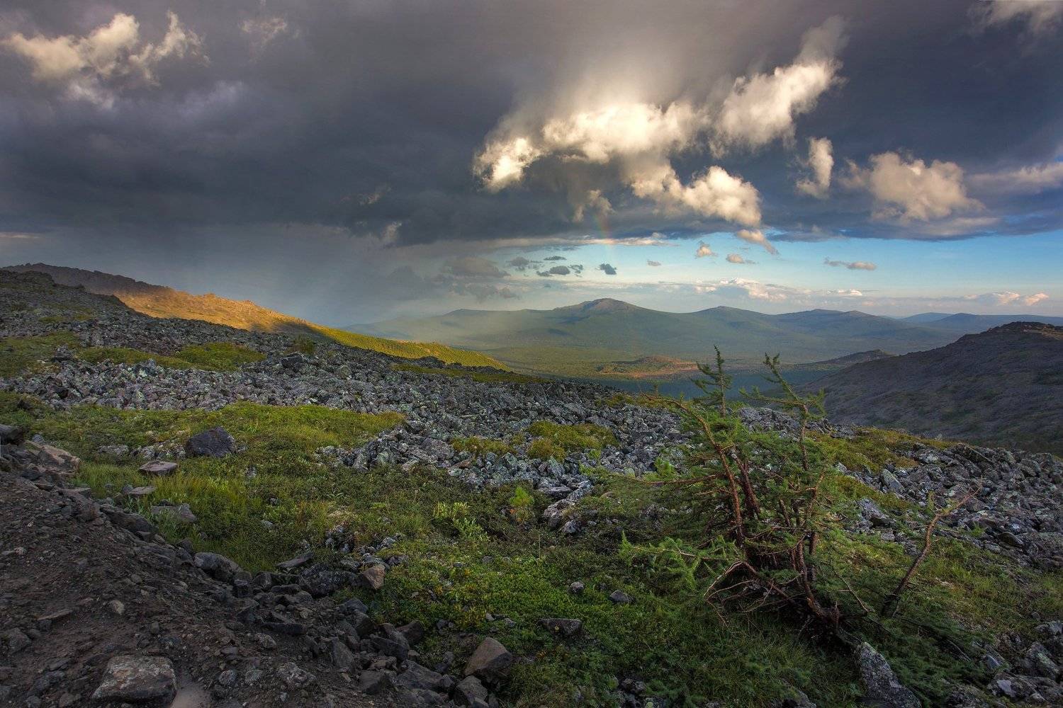 , Татьяна Борисова