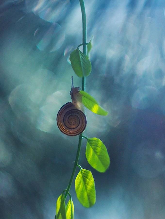 , Pawel Plucinski