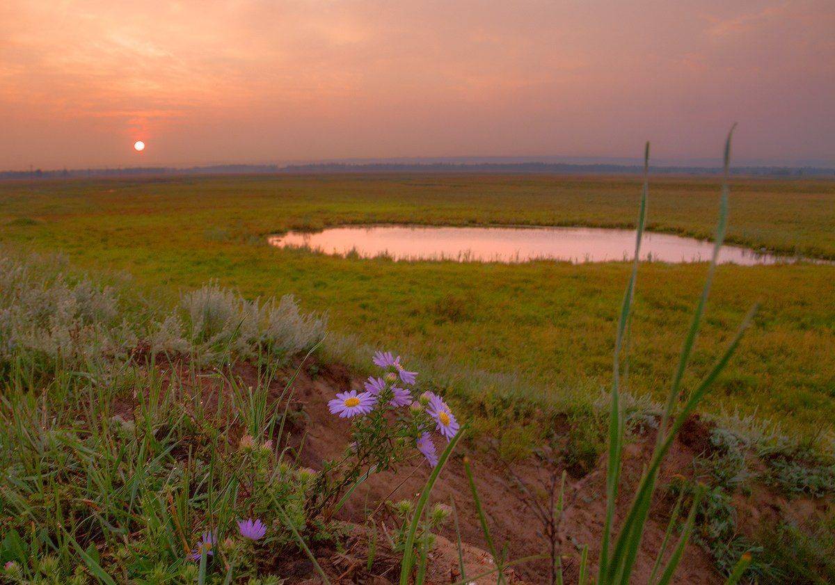 , Николай Морский