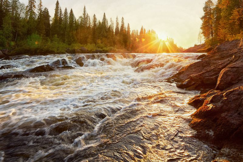 река,вода, лес, Карелия,Тумча,пейзаж На закате фото превью