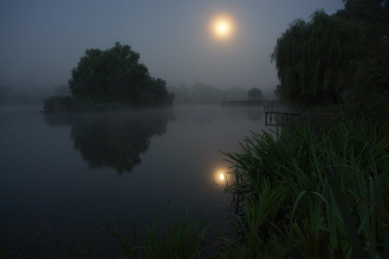 Лунно-туманное утро... фото превью