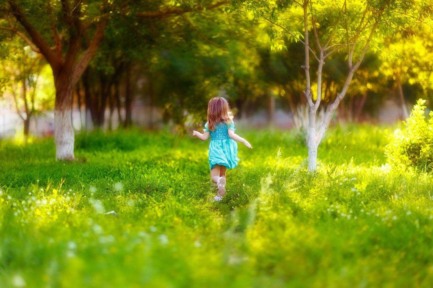 , Иващин Александр