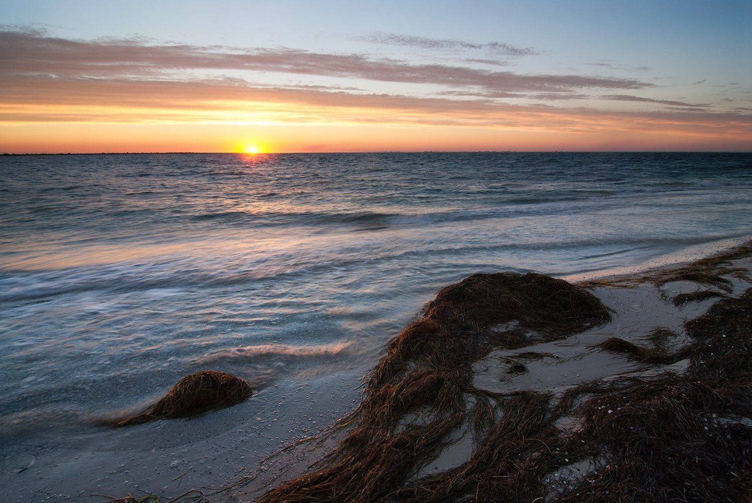 Джарылгач, flyman