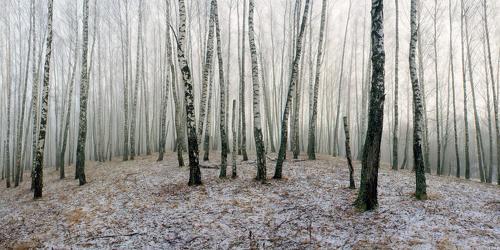 Русский пейзаж )