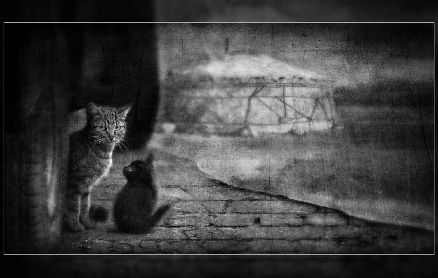 , Владислав Холодков