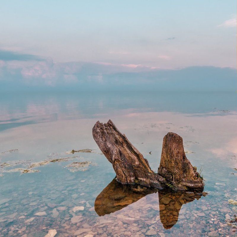 коряга озеро закат *** фото превью